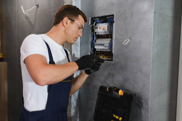 Best Electric Panel Repair  in Frisco, TX